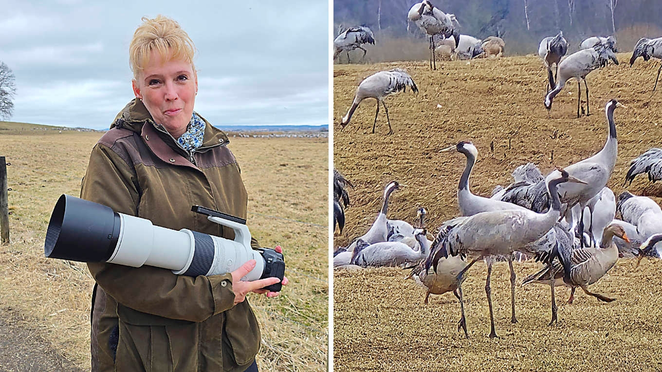 Stephanie Tuebbecke har kommit ända från Tyskland för att fotografera tranorna. På webbplatsen StephanieTuebbecke.zonerama.com finns några av fotografens naturbilder. Foto: Jenny Ljungkvist