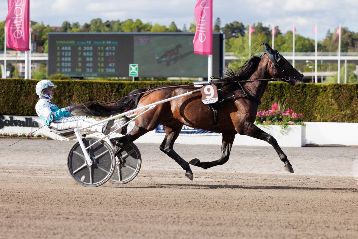 Daniel Redén-tränade Kentucky River och kusken Örjan Kihlström. Foto: Lena Emmoth / TR Bild