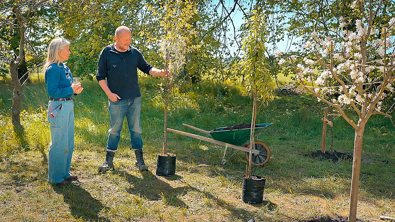 Pernilla Månsson Colt och John Taylor i sin skånska tv-trädgård i ”Trädgårdstider”. Foto: SVT