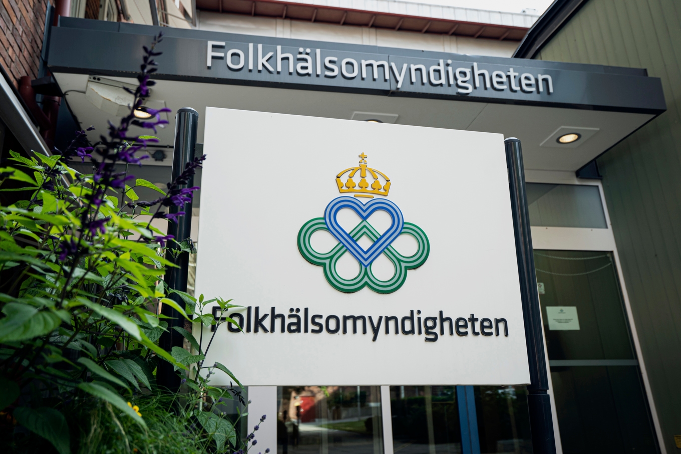 Folkhälsomyndigheten kände till den svenska studien. Foto: Sofia Drevemo
