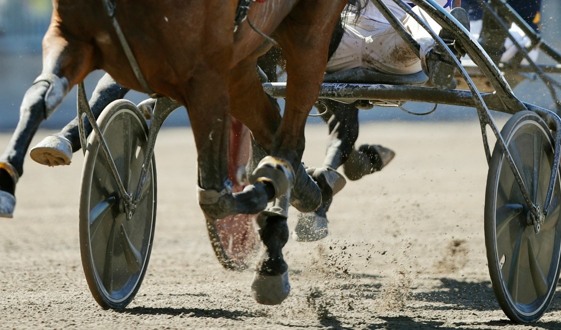 Startspåret kan vara viktigt. Foto: Caisa Rasmussen/TT