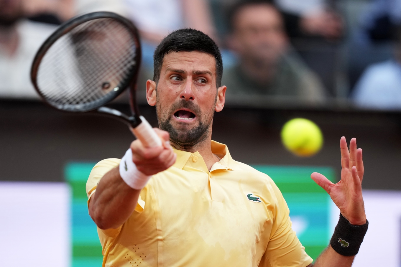 Novak Djokovic gjorde comeback efter axelskadan, och förlorade. Foto: Andrew Medichini/AP/TT