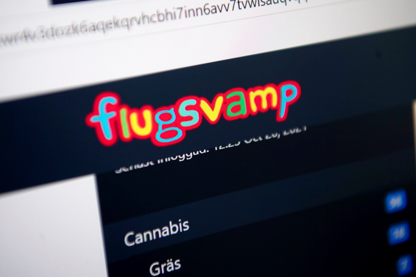 Mannen drev en numera nedstängd marknadsplats för illegala droger på darknet. Arkivbild. Foto: Fredrik Sandberg/TT