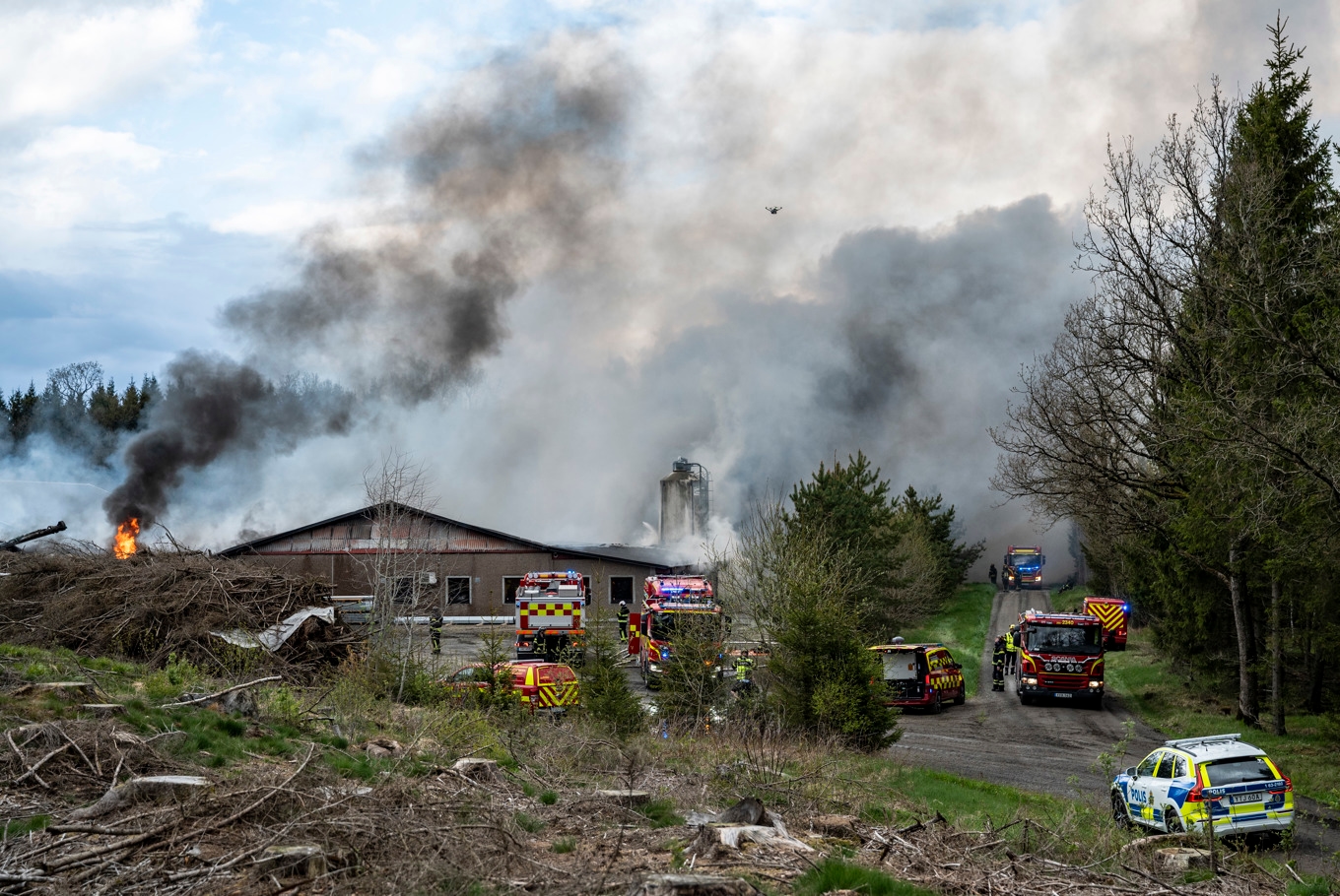 Närmare 50 000 höns brann inne vid en kraftig brand i ett hönseri. Foto: Johan Nilsson/TT