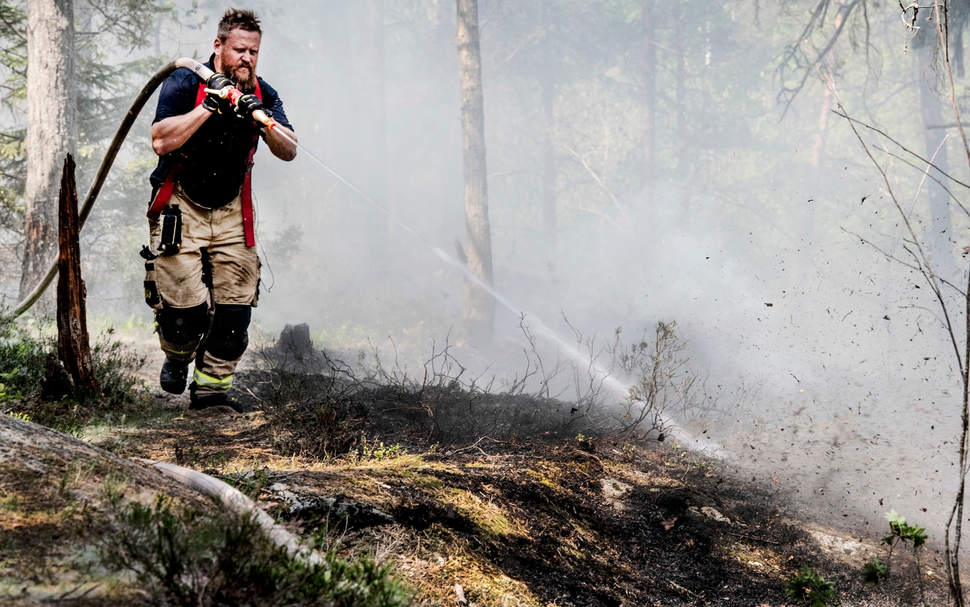 På vissa håll är risken för bränder i skog och mark mycket stor. Arkivbild. Foto: Tomas Oneborg/SvD/TT