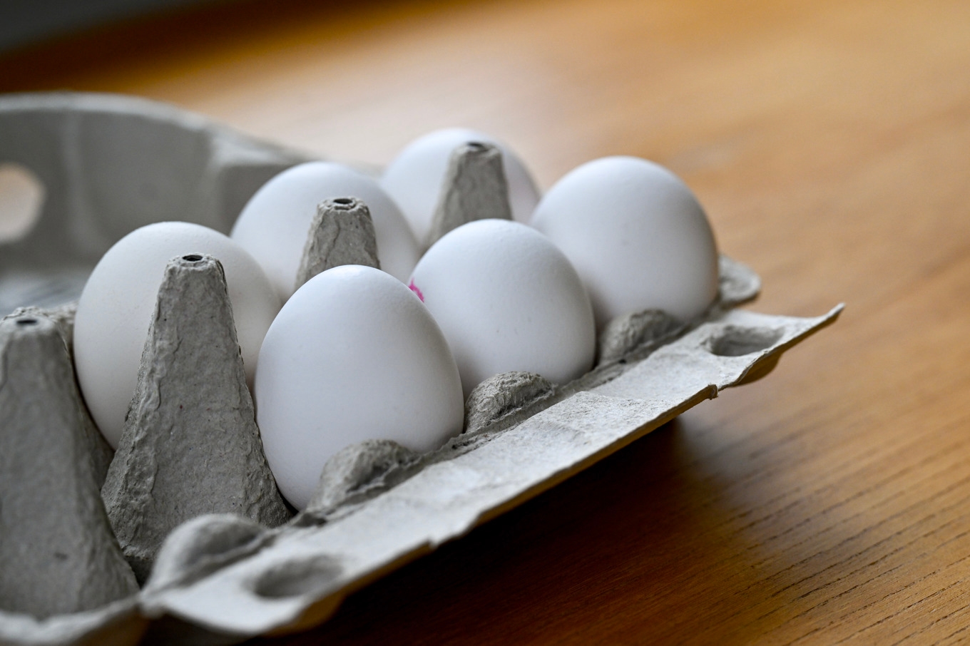 Ägg återkallas. Arkivbild. Foto: Fredrik Sandberg/TT