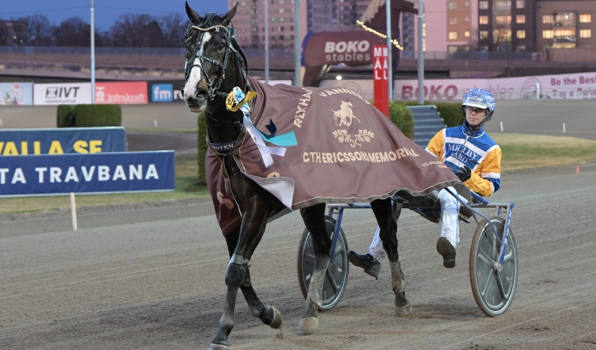 Får vi se Daniel Wäjersten-tränade Mellby Jinx i Elitloppet även i år? Foto: Lars Jakobsson / TR Bild