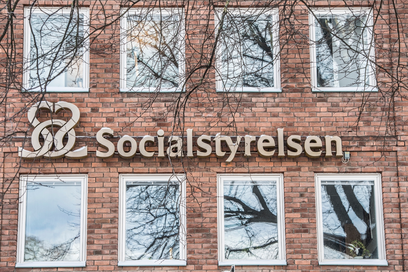 Socialstyrelsen flaggar för att trotssyndrom kan missas hos många barn och unga. Foto: Lars Pehrson/SvD/TT