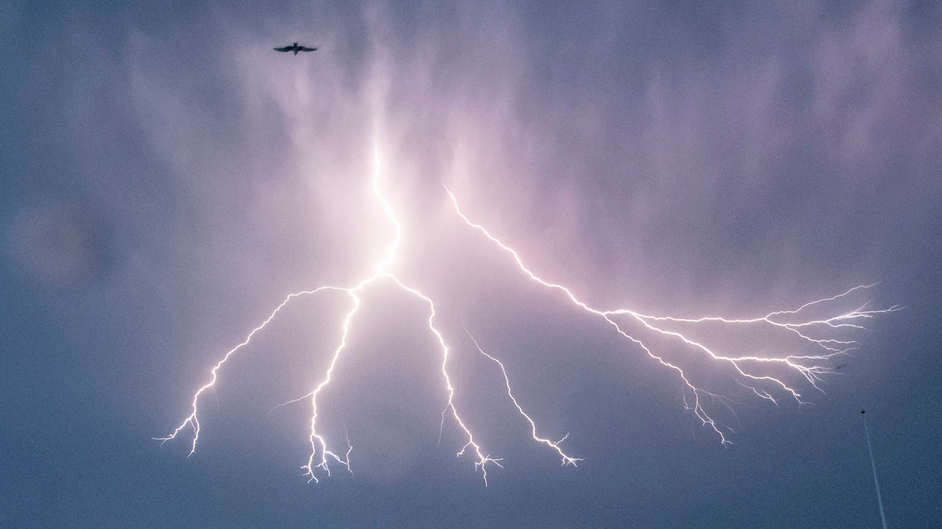 SMHI har utfärdat en gul varning för åskoväder för lördagen. Arkivbild. Foto: Johan Nilsson/TT