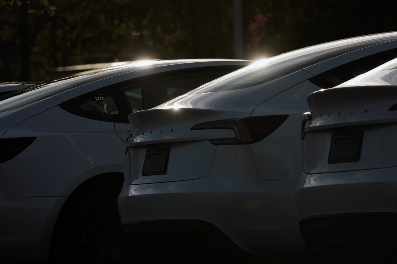 Svenska Trafikverket varnar för Teslas självkörningssystem. Foto: Jenny Kane/AP/TT