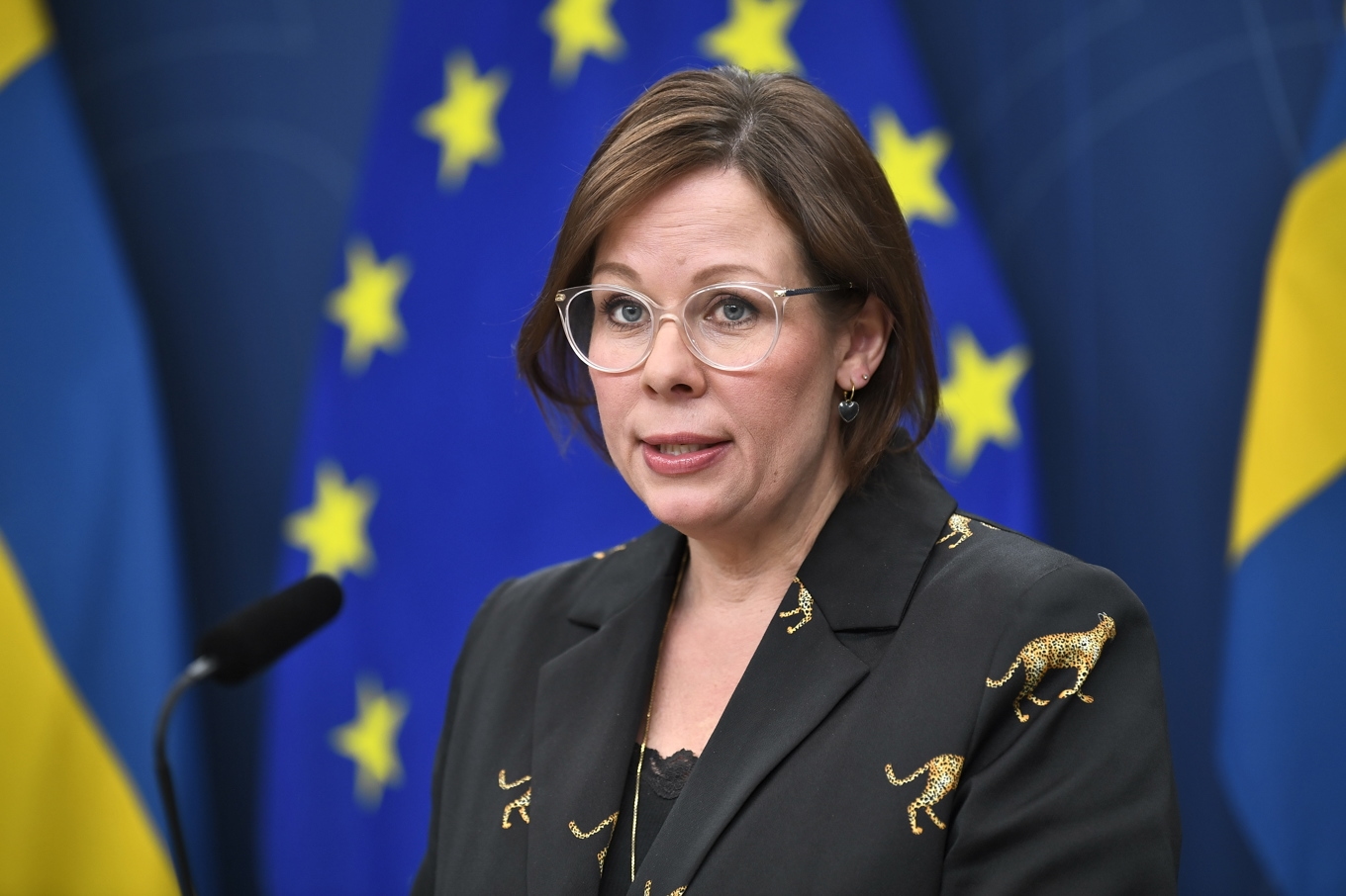 Utrikesminister Maria Malmer Stenergard (M). Arkivbild. Foto: Lars Schröder/TT