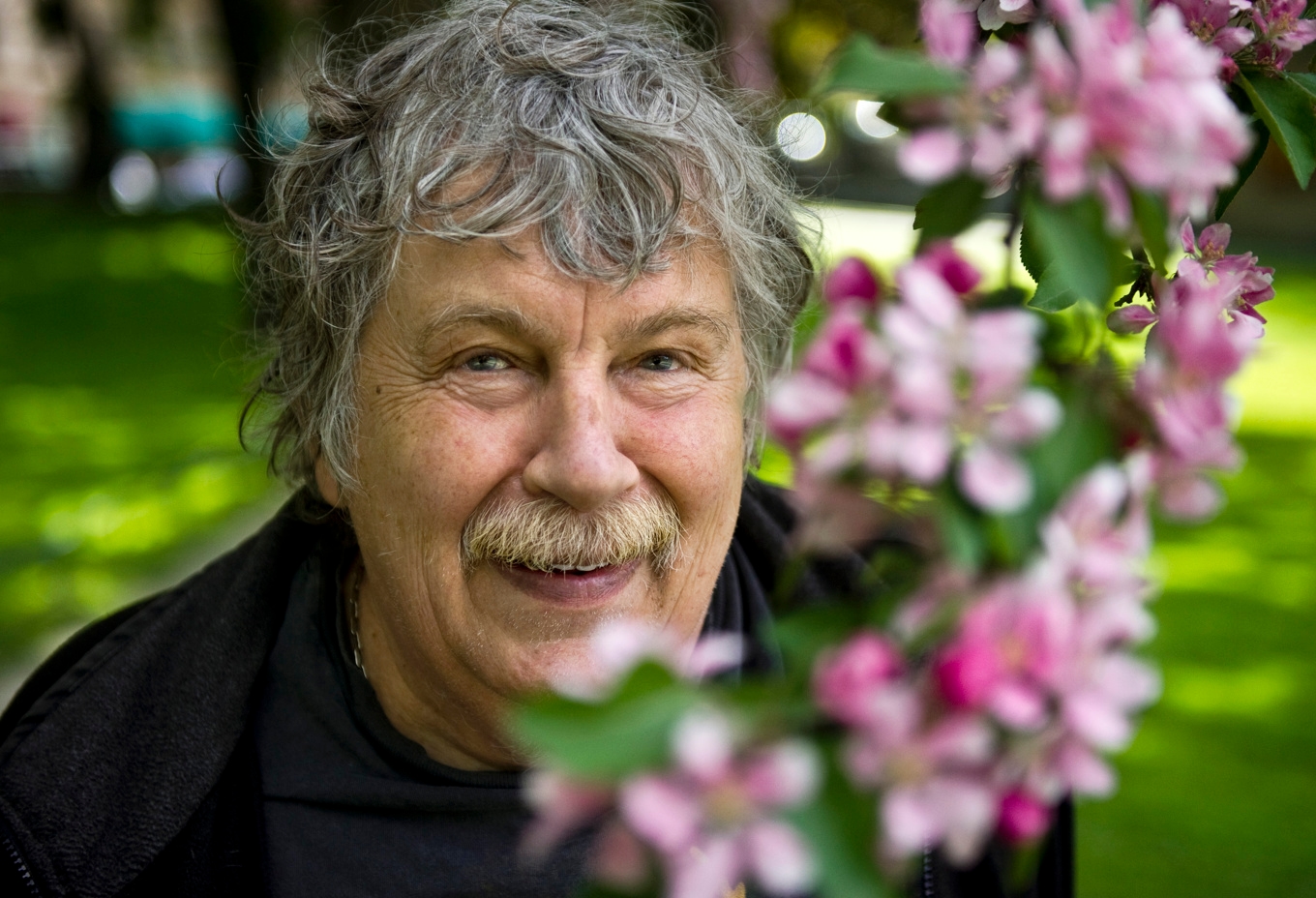 Staffan Westerberg 2010. Arkivbild. Foto: Claudio Bresciani/TT
