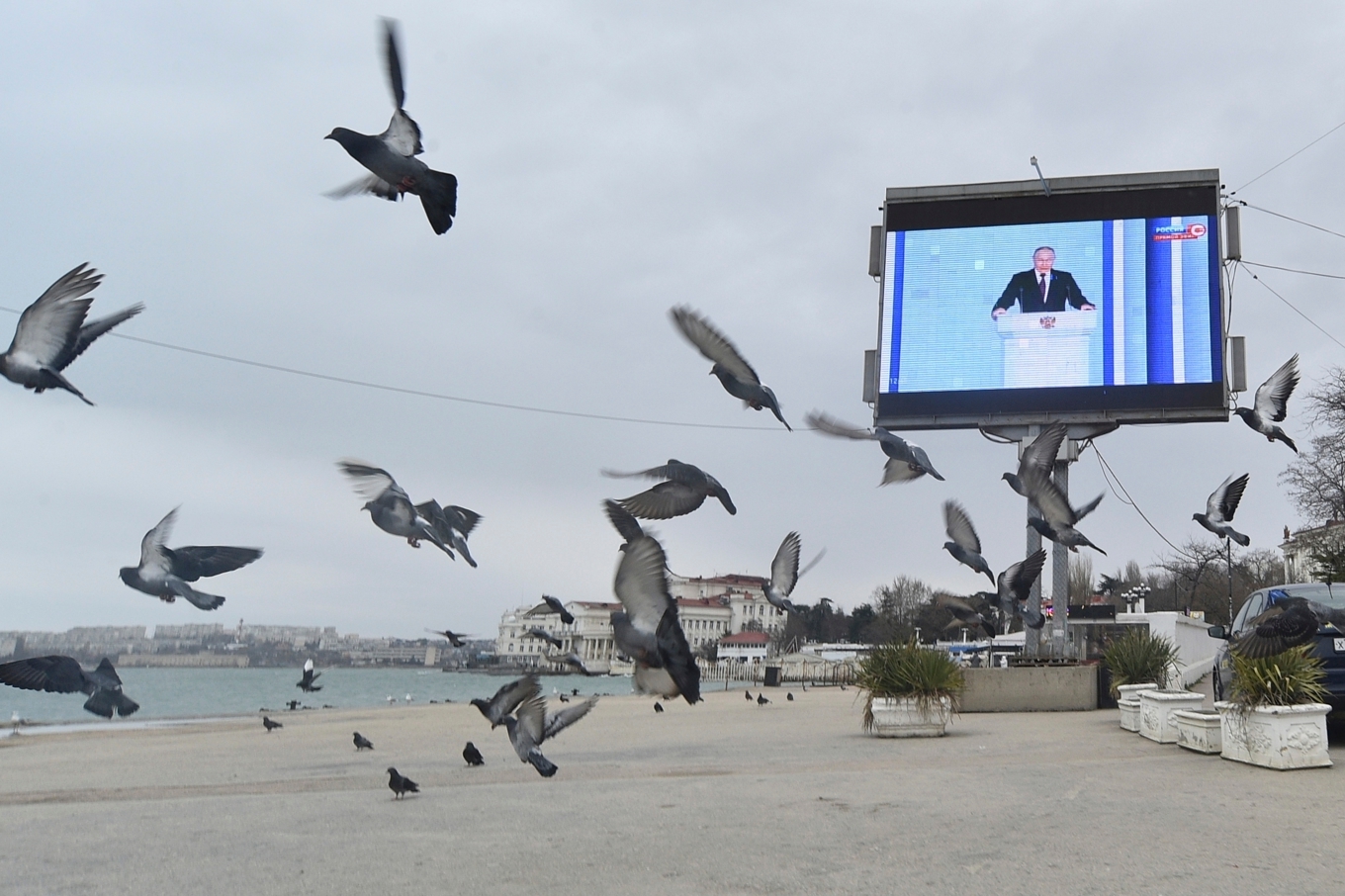 Stranden i Sevastopol i februari 2023, då Vladimir Putin höll tal till nationen och det sändes på offentliga bildskärmar. Foto: AP/TT