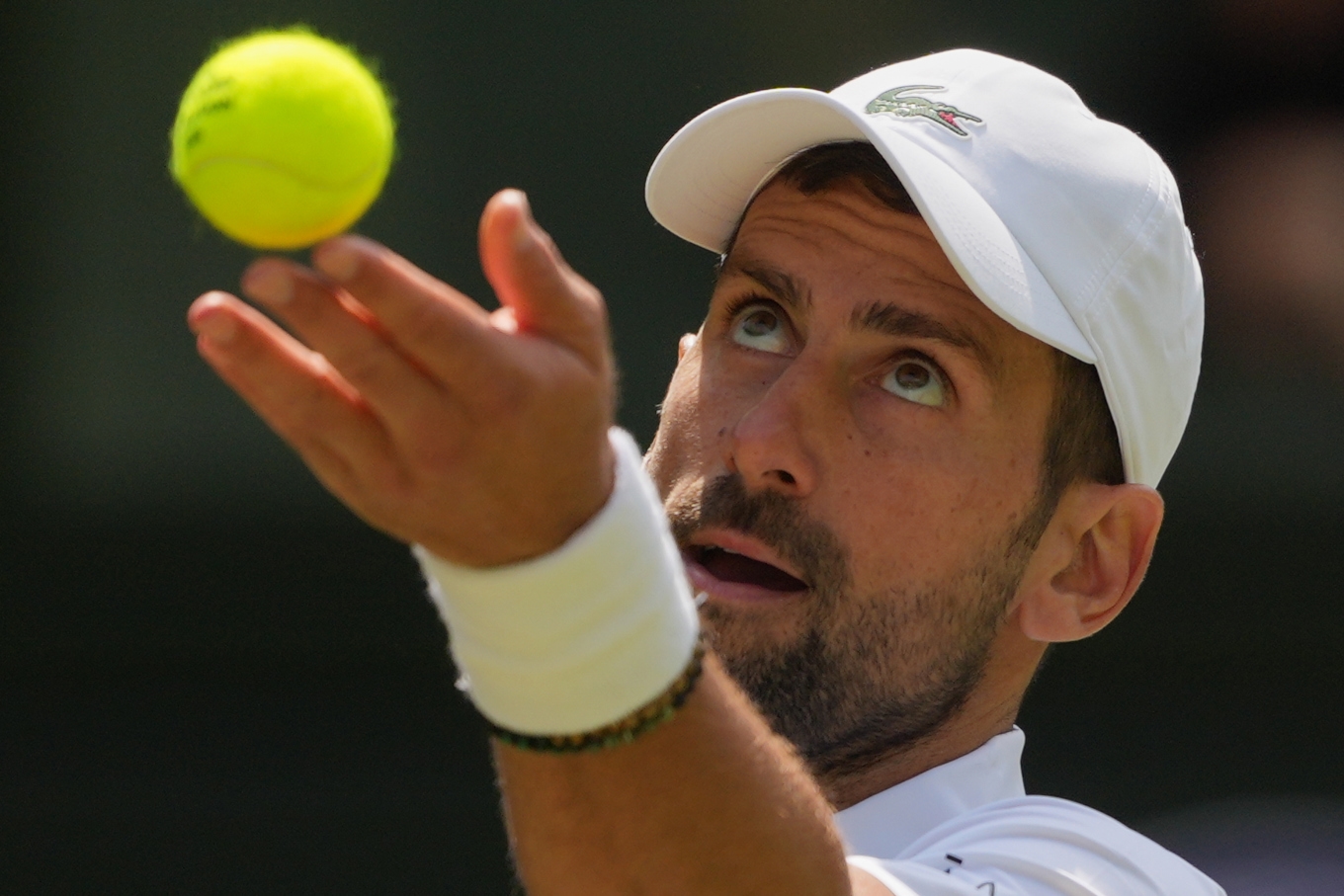 Novak Djokovic har tangerat Roger Federer i antalet matchsegrar i Wimbledon. Foto: Kin Cheung/AP/TT