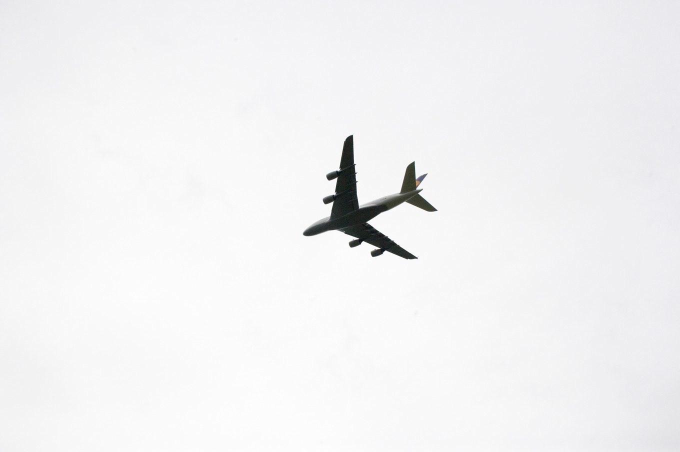 Ett flygplan på väg mot Amsterdam tvingades landa på Landvetter efter kollision med fåglar. Arkivbild. Foto: Leif R Jansson/TT
