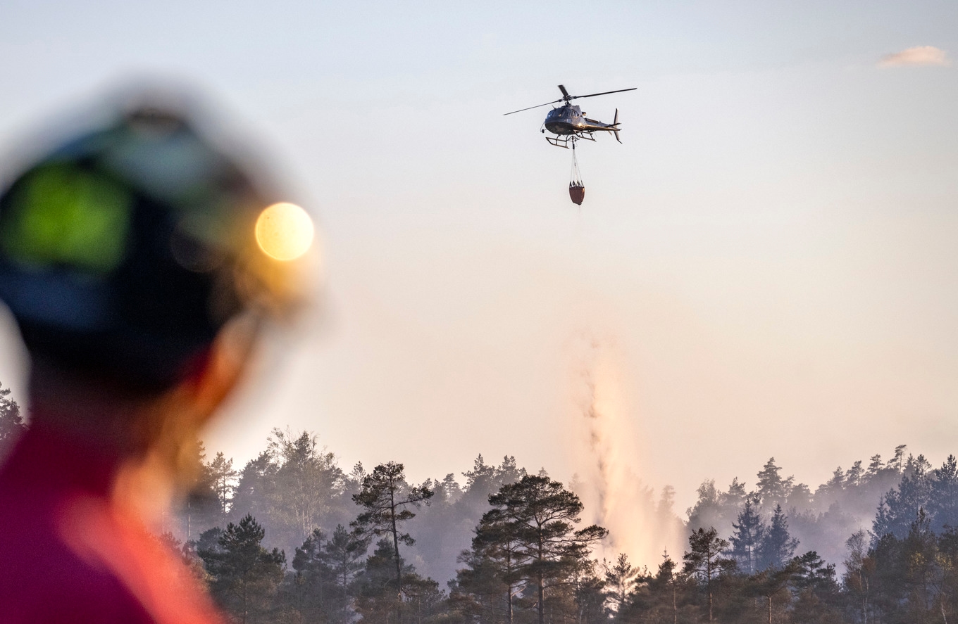 Skogsbränder har härjat i södra Sverige. Arkivbild. Foto: Johan Nilsson / TT