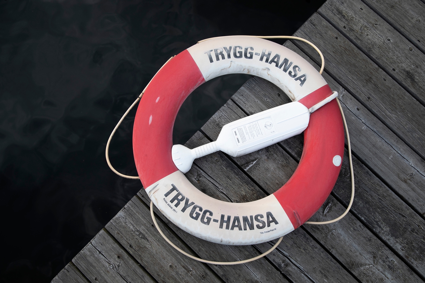 En man i 80–årsåldern har omkommit i en drunkningsolycka utanför Linköping. Arkivbild. Foto: Mickan Mörk/TT