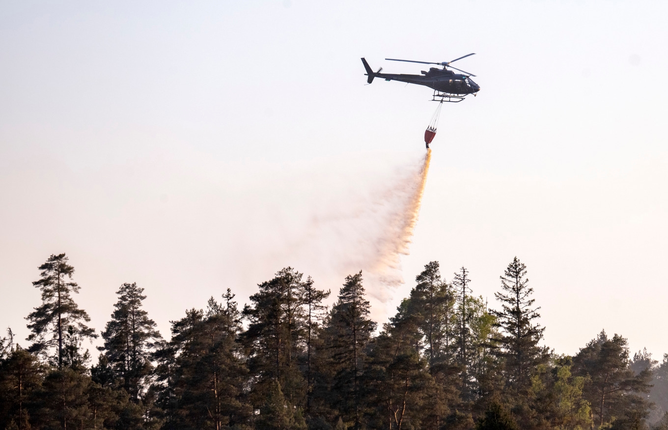 Till helgen kan brandrisken komma att minska. Arkivbild. Foto: Johan Nilsson/TT