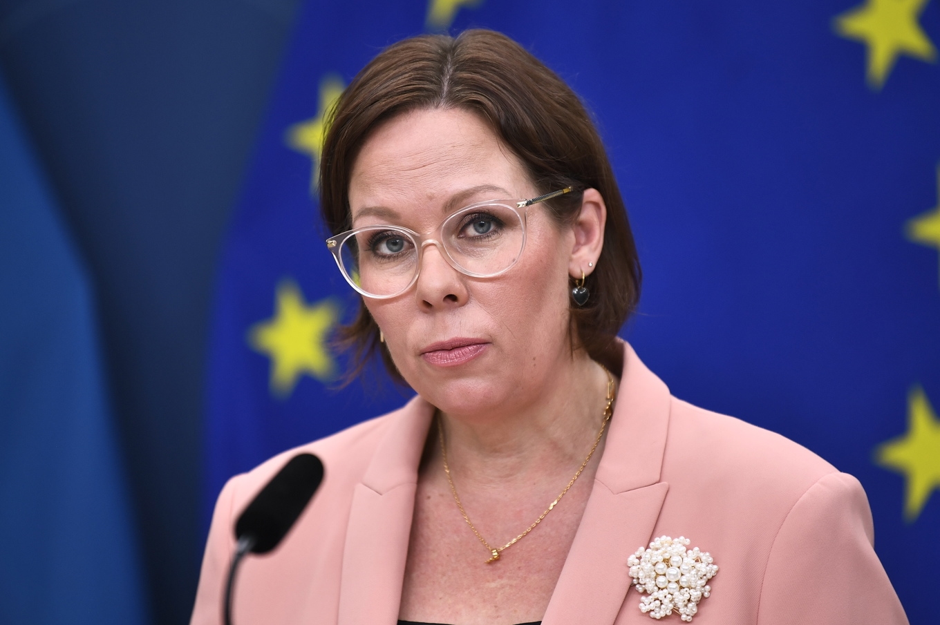 Utrikesminister Maria Malmer Stenergard (M). Arkivbild. Foto: Lars Schröder/TT