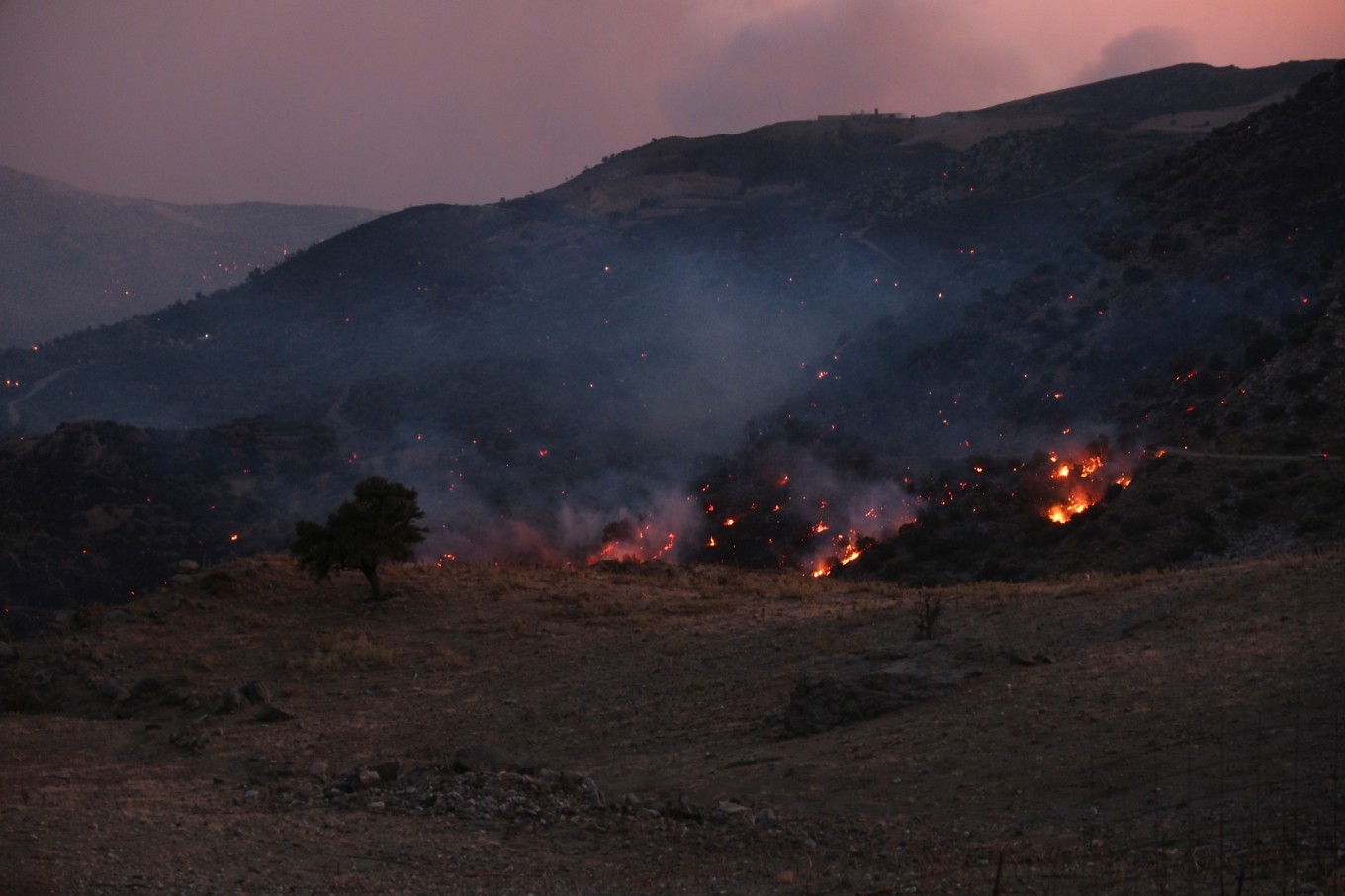 Terrängbränder på den grekiska ön Kreta tvingar tusentals människor att evakuera. Foto: Giannis Angelakis/AP/TT