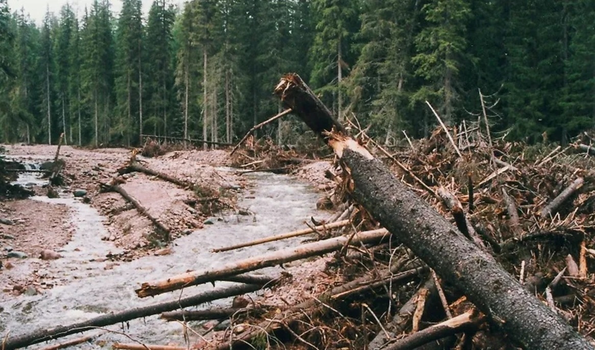 Omfattande erosion efter regnkatastrofen på Fulufjället i augusti 1997. Foto: SGU/Wikimedia Commons