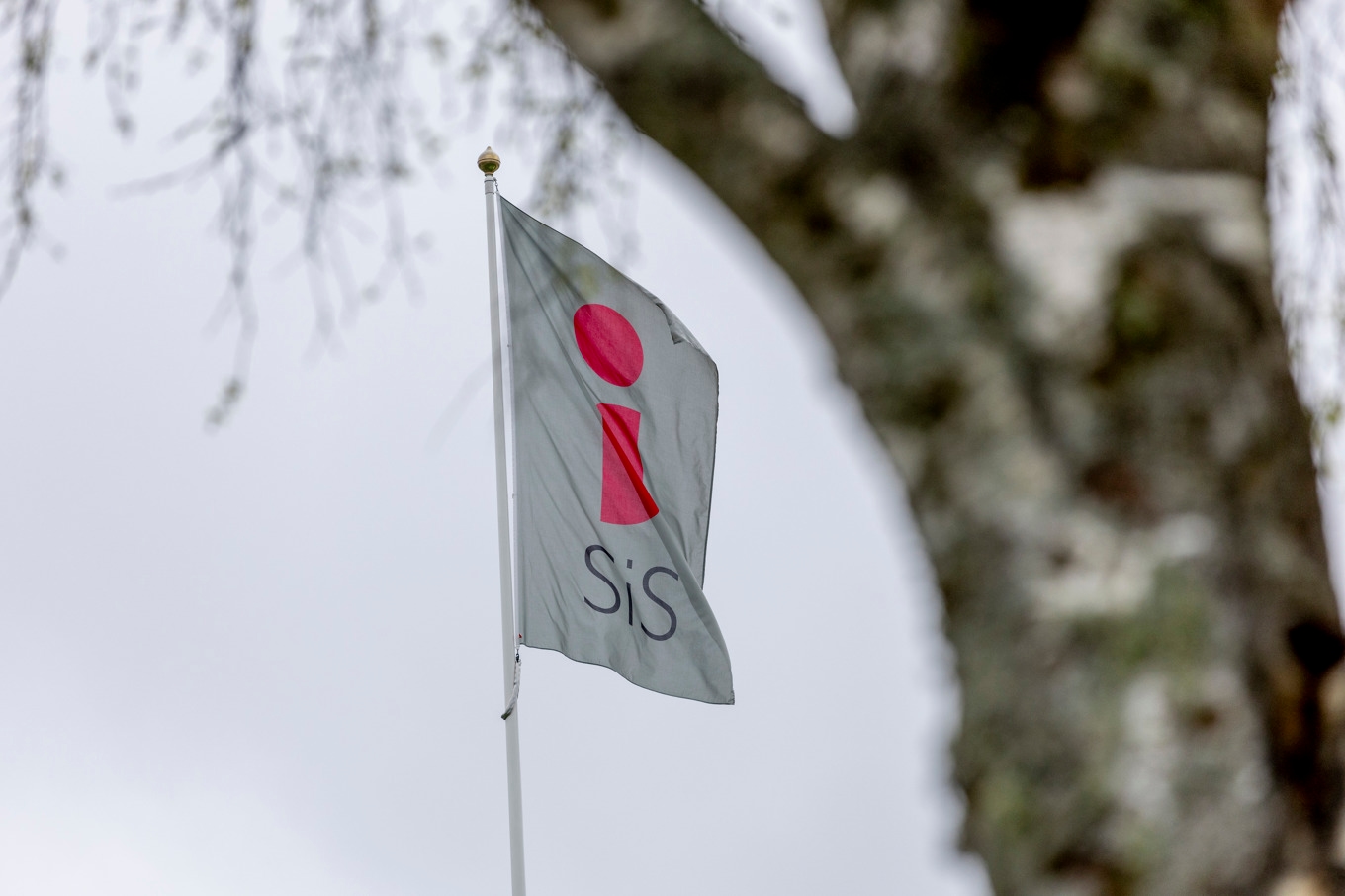 Fyra unga killar åtalas för brott efter tumult som uppstod på ett Sis-hem i Skåne förra året. Arkivbild. Foto: Adam Ihse/ TT.