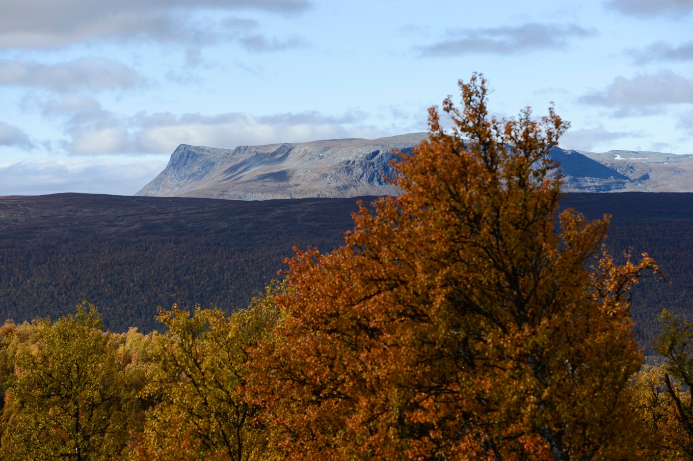 Höstvy över Vindelfjällen. Arkivbild. Foto: Henrik Montgomery/TT