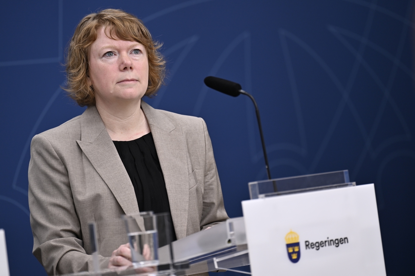 Malin Danielsson (L) säger att Liberalerna vill göra en större satsning på folkbildningen under nästa mandatperiod. Arkivbild. Foto: Pontus Lundahl/TT