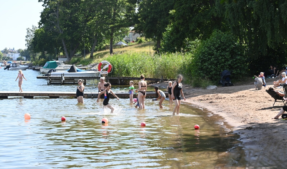 ”Sommar” hör sommaren till. Arkivbild. Foto: Anna Hållams/TT