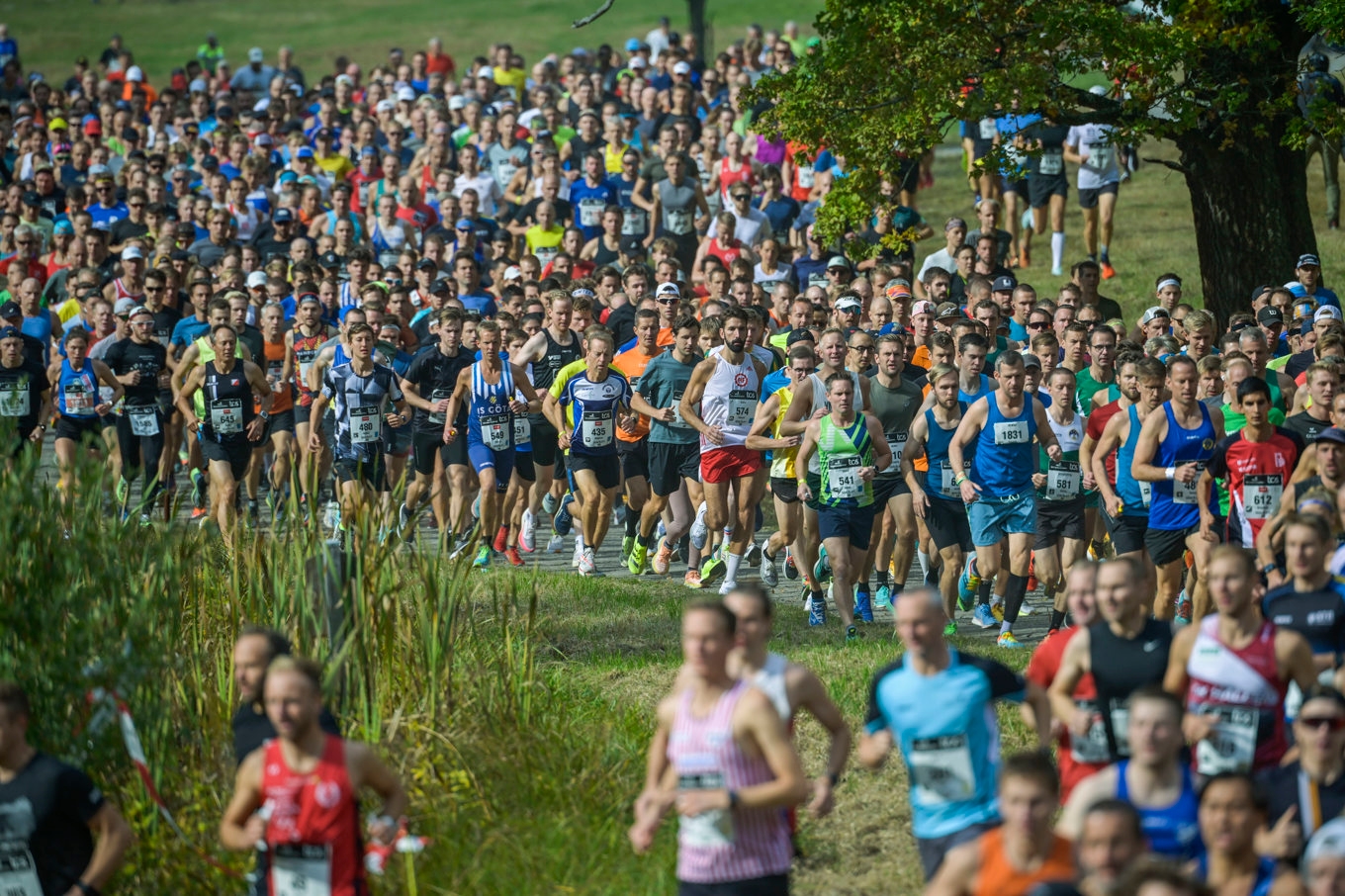 Lidingöloppet inför för första gången ett deltagartak. Arkivbild. Foto: Anders Wiklund/TT