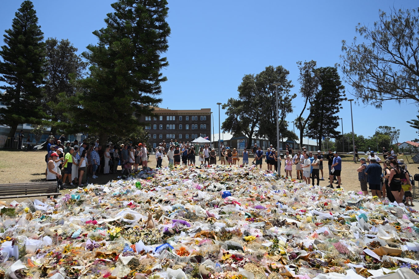 Ett hav av blommor vid minnesplatsen för terrordådet vid Bondi Beach i december i fjol. Foto: Steve Markham/AP/TT
