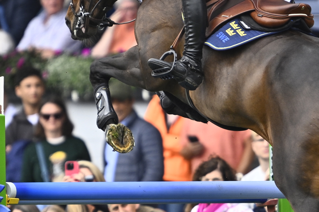 Peder Fredricson på hästen Alcapone des Carmille, utan framskorna i lagtävlingen i VM. Foto: Pontus Lundahl/TT