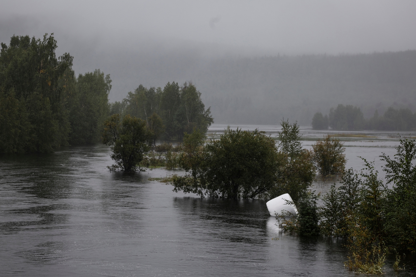 Höbal flyter i Ljusån som rinner ut i Buddbyträsket norr om Boden. Bilden togs på torsdagen. Foto: Pär Bäckström/TT