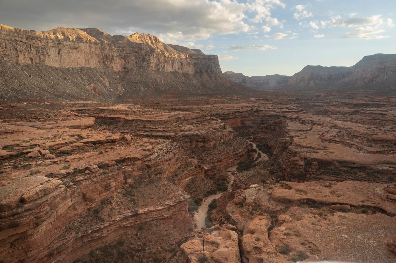 Helikoptervy över Grand Canyon i Arizona i USA. Arkivbild. Foto: Rodrigo Abd/AP/TT