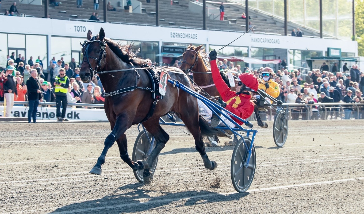 Daniel Wäjersten och Kuiper har redan vunnit storloppen Copenhagen Cup och St Michel-Ajo i år. Men frågan är om inte en seger på hemmaplan i Sundsvall Open Trot, skulle smälla ännu högre. Foto: Mikael Rosenquist / TR Media Bild