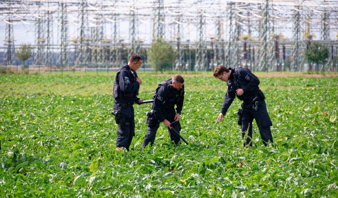 Poliser söker igenom fältet vid transformatorstationen i Bergheim. Bild från i onsdags. Foto: Henning Kaiser/AP/TT