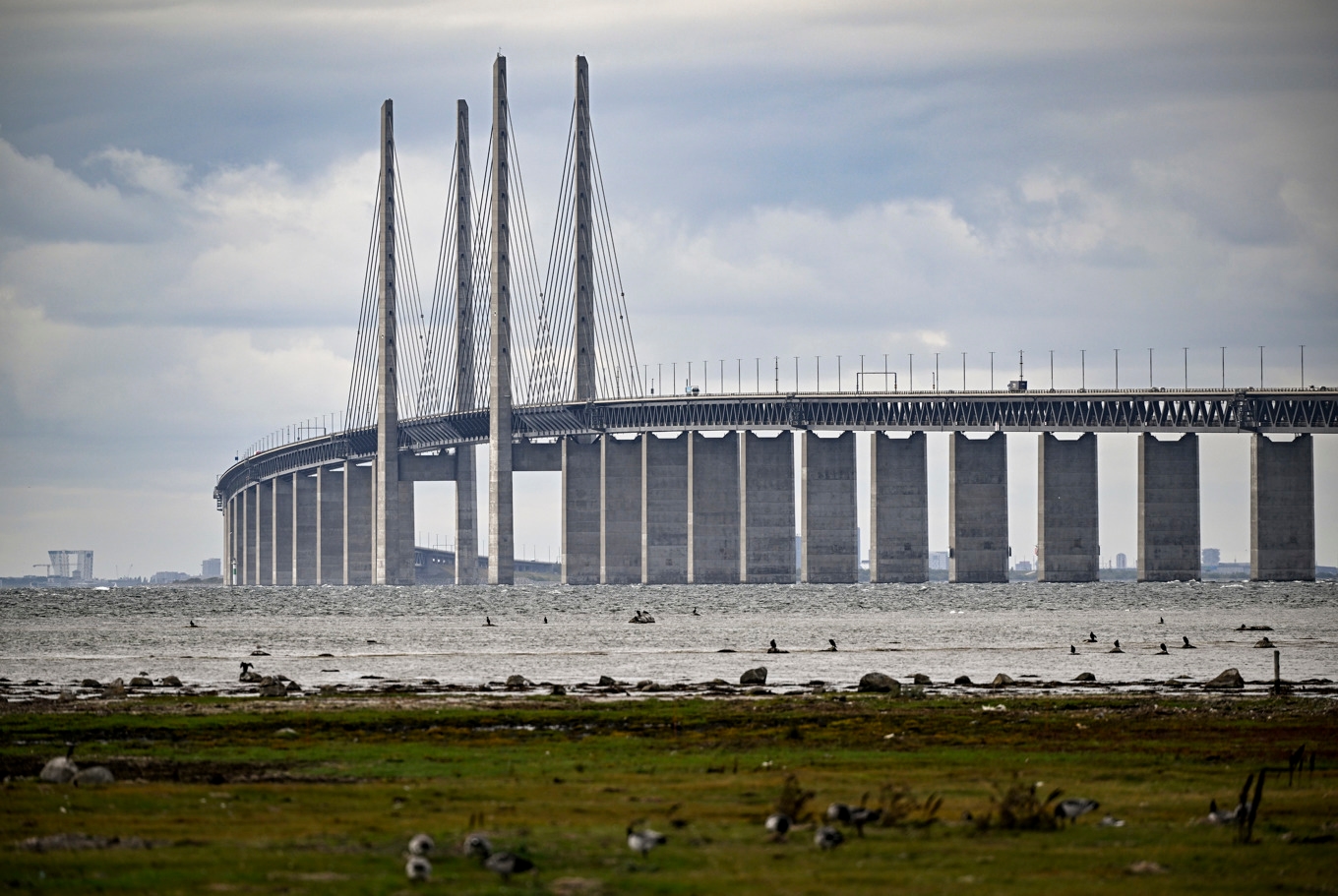 Öresundsbron har öppnats igen. Arkivbild. Foto: Johan Nilsson/TT