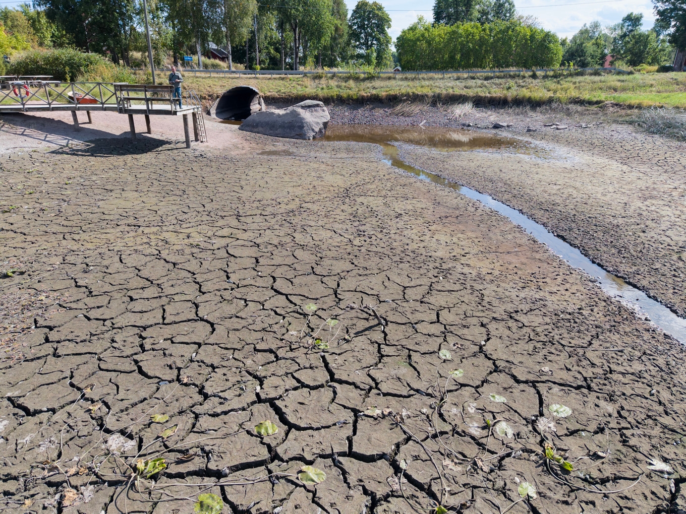 Torka i Svartån i Karbenningby i Västmanland. Efter en torr sommar står badbryggan vid Svartån i Karbenningby den 18 augusti på torra land. Foto: Fredrik Sandberg/TT