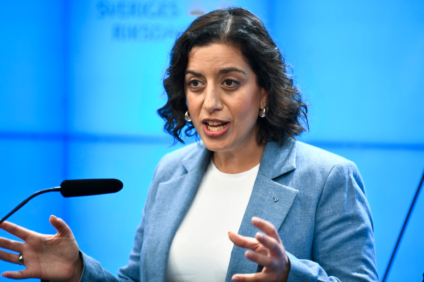 Liberalernas partiledare Simona Mohamsson. Foto: Lars Schröder/TT