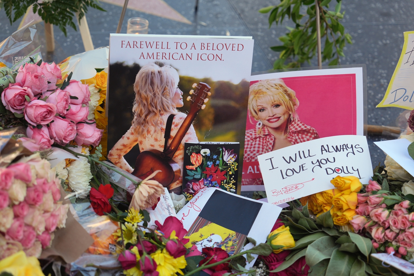 Fansen hyllar Dolly Parton på Hollywoods Walk of fame. Foto: Jae Hong/AP/TT