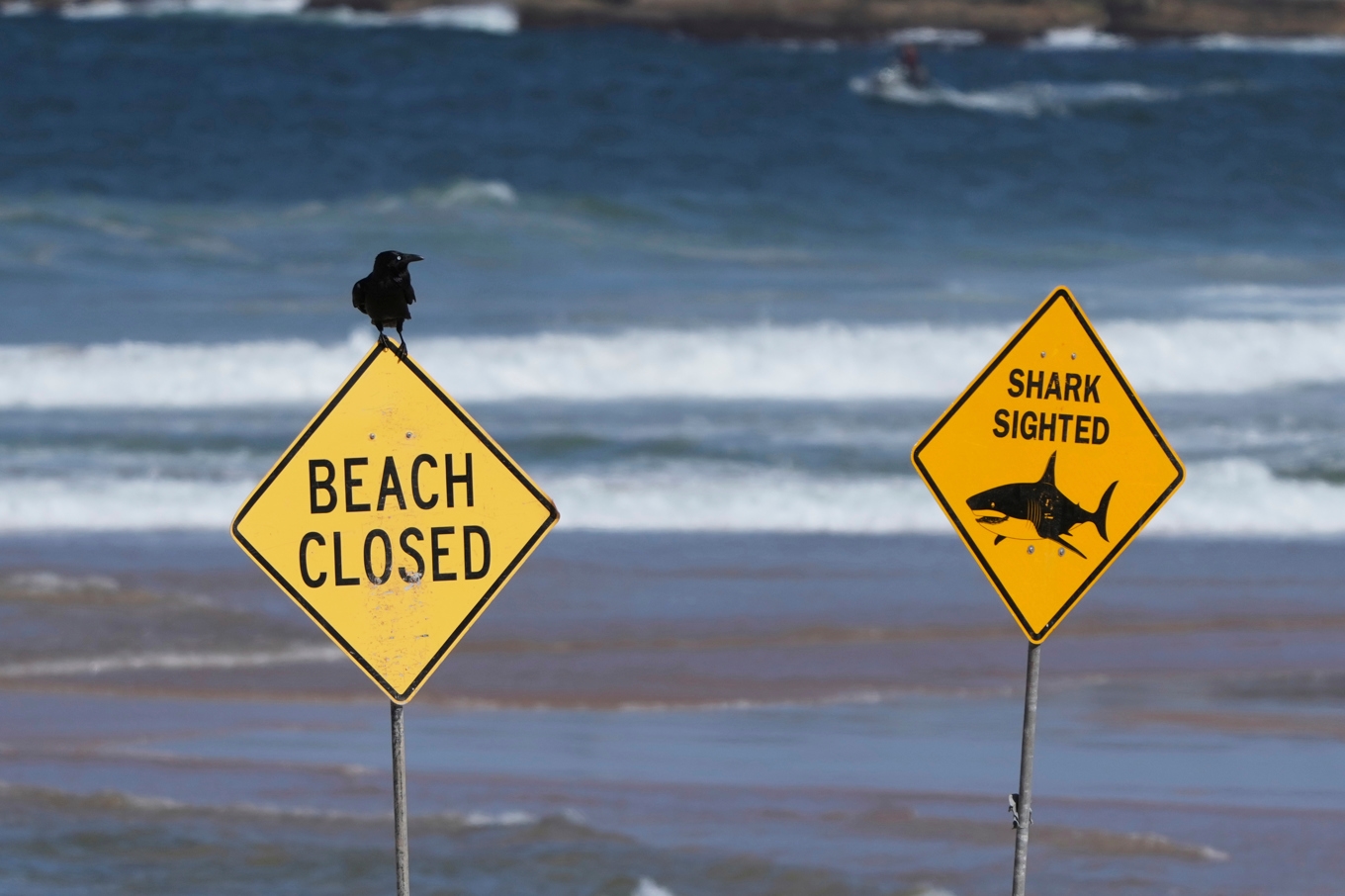 Varningsskylt för haj på en strand i Australien. Arkivbild. Foto: Mark Baker/AP/TT