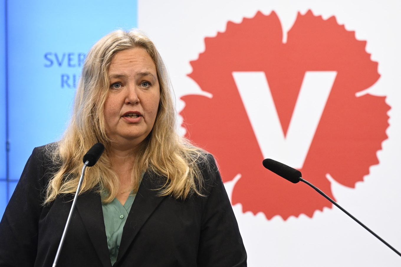 Vänsterpartiets vice partiledare Ida Gabrielsson (V). Arkivbild. Foto: Jessica Gow/TT