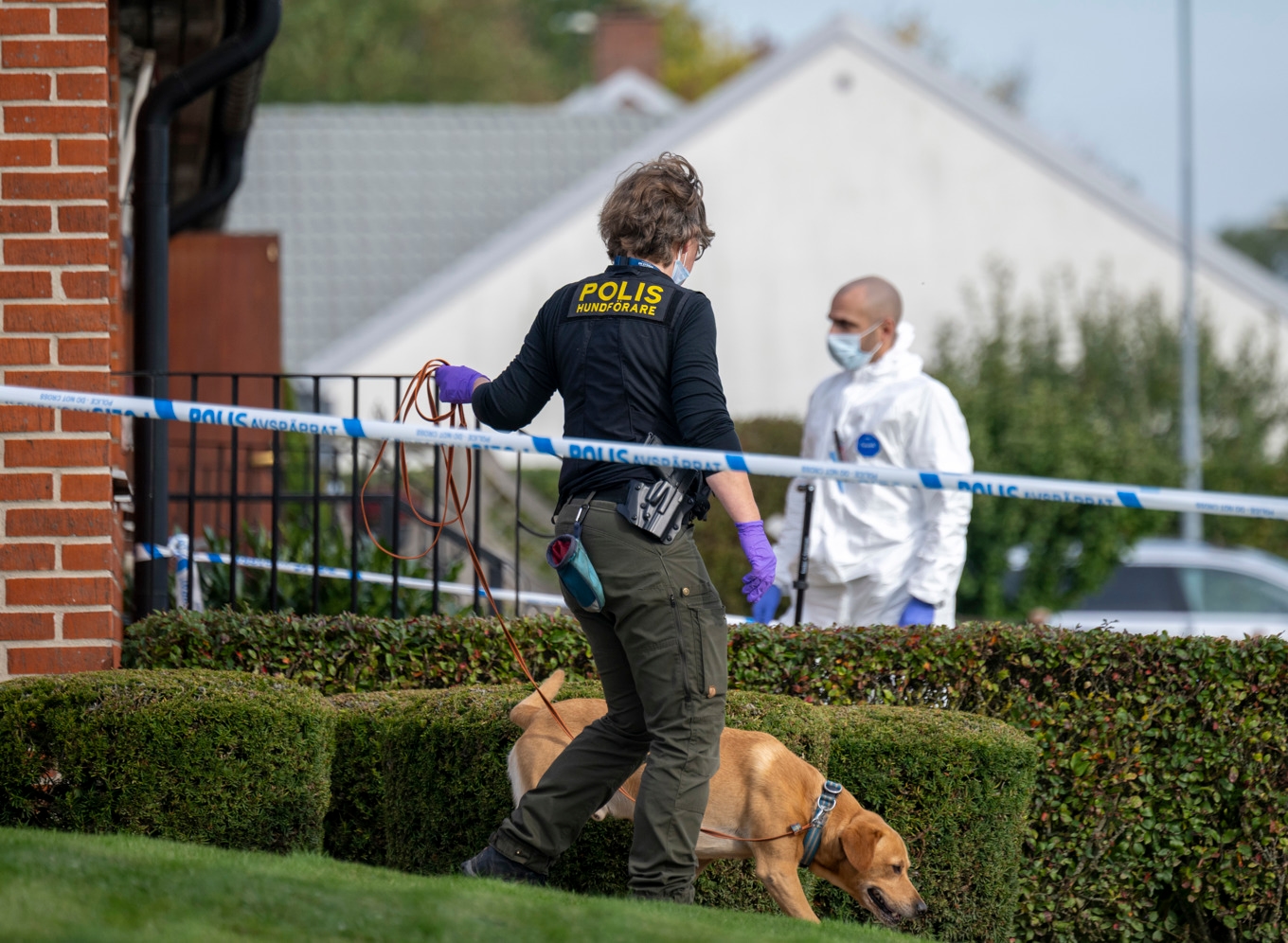 Polisens kriminaltekniker och hundpatrull med specialsökhund arbetar innanför avspärrningarna i ett bostadsområde i Eslöv efter att två personer hittats döda på onsdagen. Foto: Johan Nilsson/TT