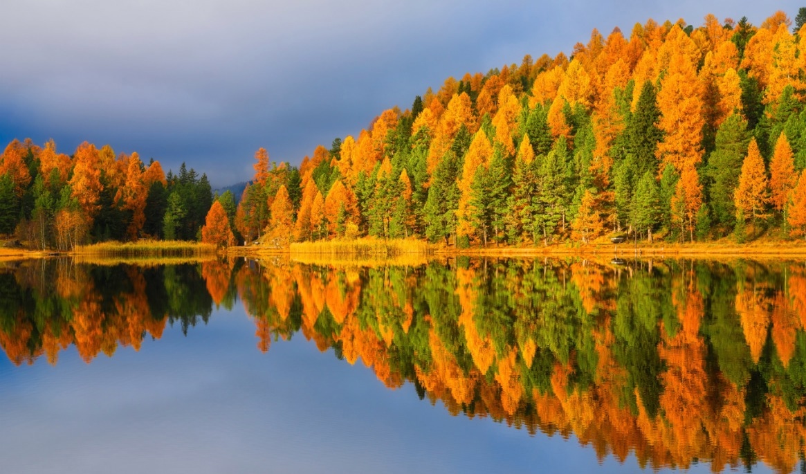Hösten är som en andra vår där varje löv är en blomma (Albert Camus). Vi får tid att reflektera och förändra det som vi förmår och behöver. Foto: Shutterstock