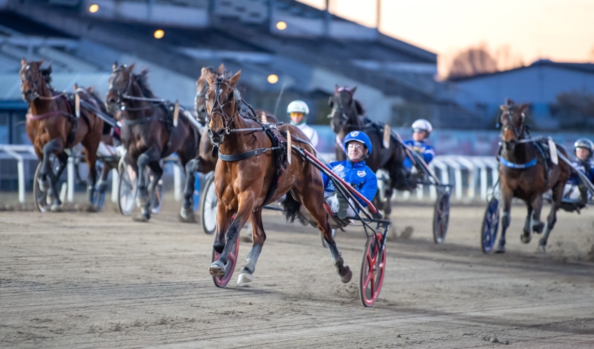 Nilla Lane har vunnit 14 segrar av 16 försök från ledning på svensk mark och blir ett av Epoch Times singelstreck på lördagen. Foto: Mikael Rosenquist / TR Bild .