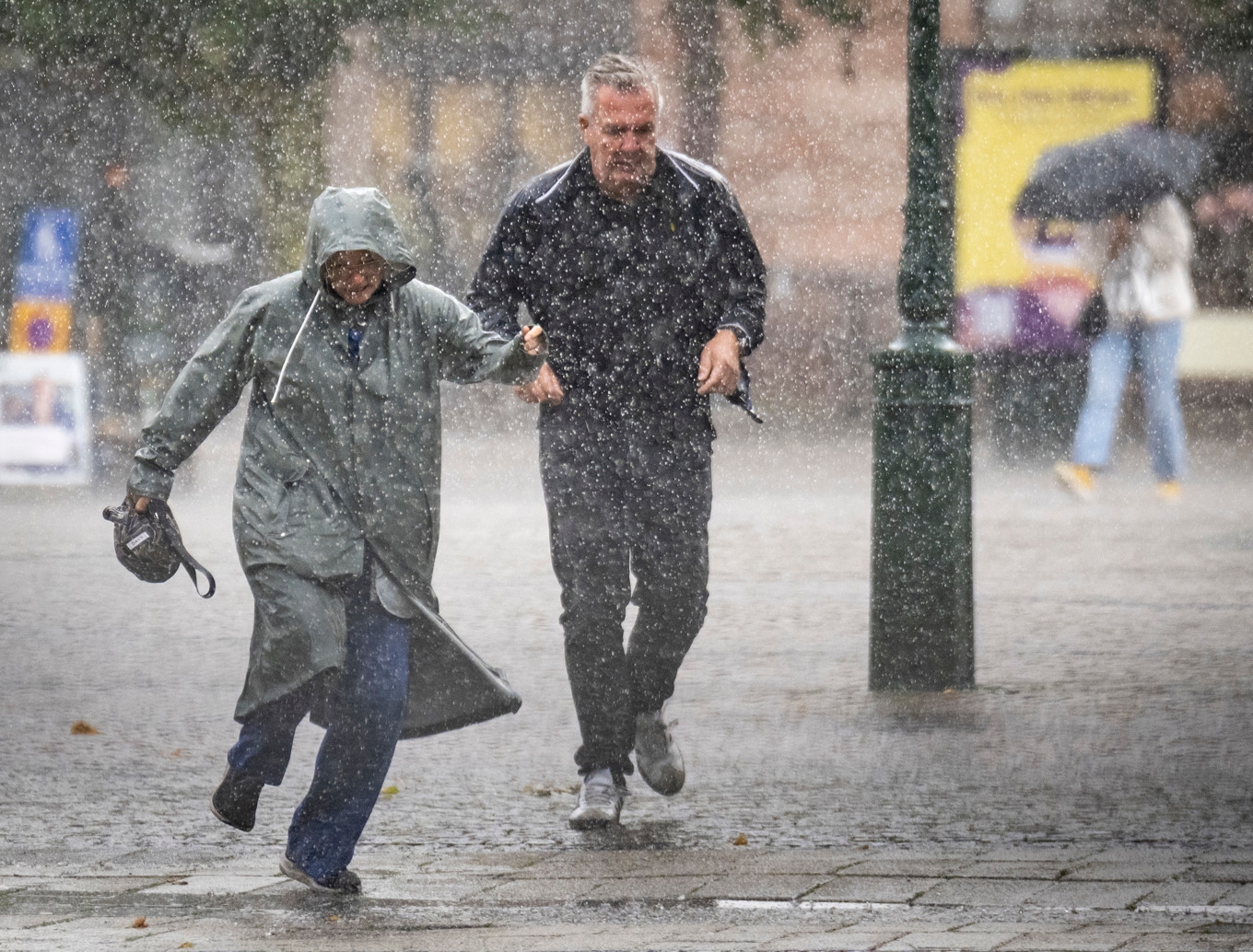 SMHI har utfärdat varningar för regn och översvämningar. Arkivbild. Foto: Johan Nilsson/TT
