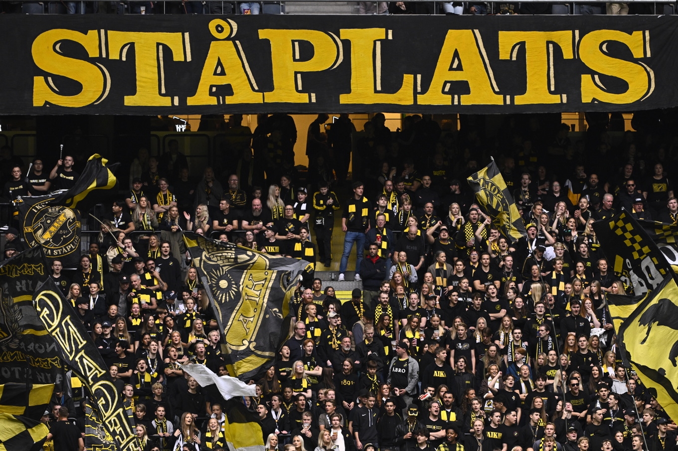 AIK får en ny vd. Arkivbild. Foto: Claudio Bresciani/TT