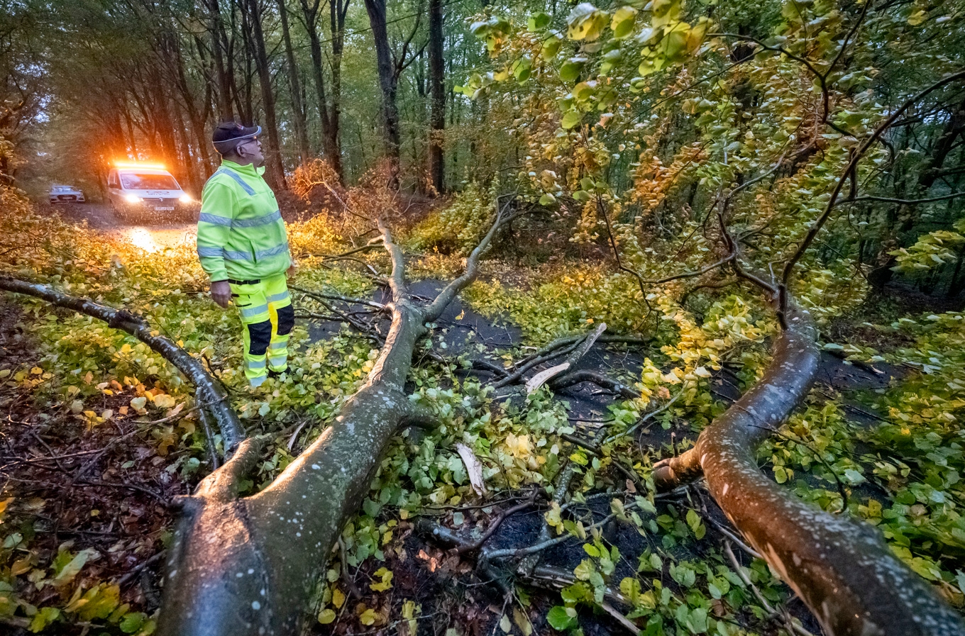 Nerfallna träd på vägarna utanför Sjöbo när stormen Boelo drog in med sydvästliga vindar över södra Sverige på söndagen. Foto: Johan Nilsson / TT