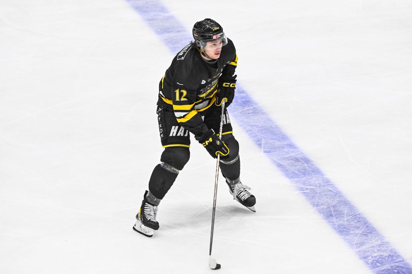 Scott Pooley och hans lagkamrater i AIK vann hockeyallsvenskans seriefinal hemma mot Leksand med 3–2 efter straffar. Arkivbild. Foto: Henrik Montgomery/TT