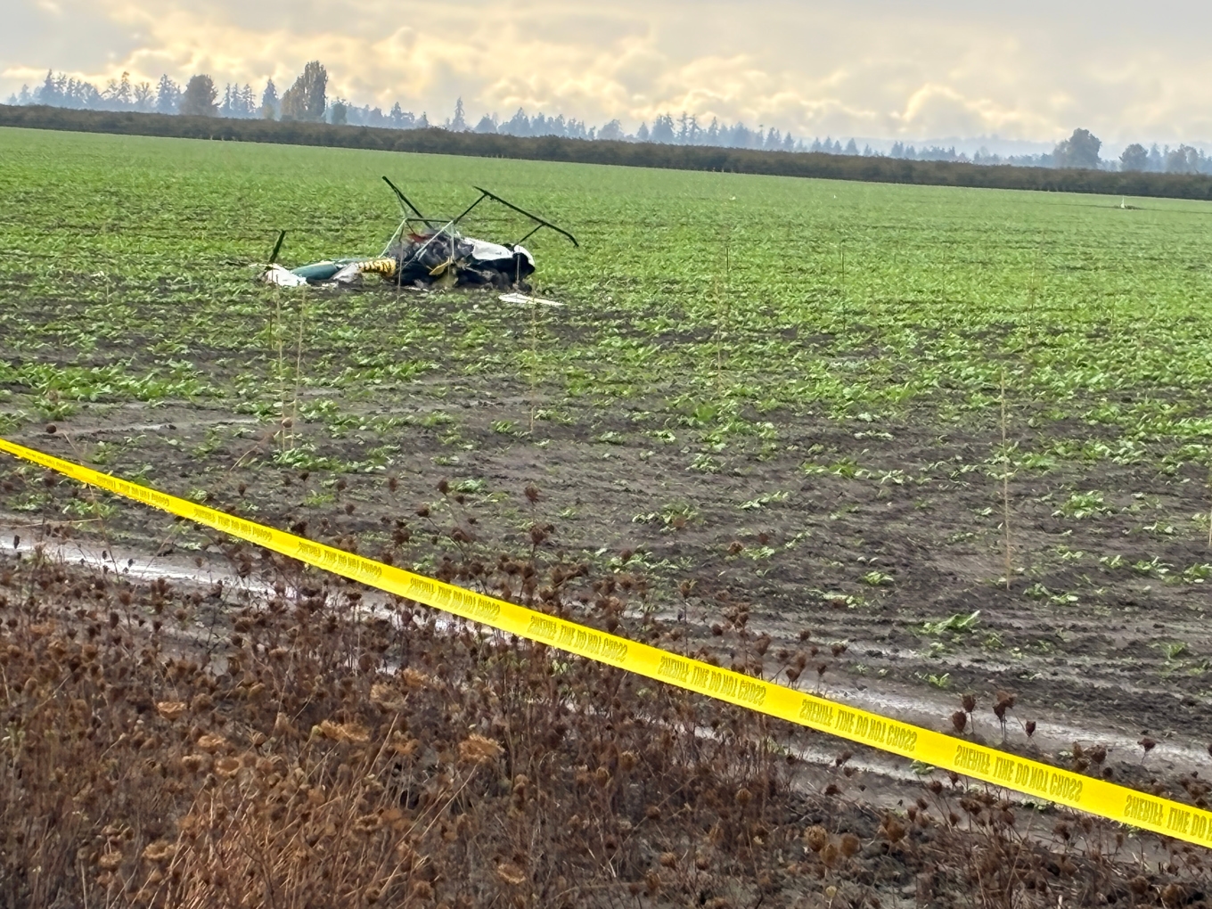En av de två helikoptrarna på ett fält i Oregon efter den dödliga kraschen. Foto: Yamhill County Sheriff's Office via AP/TT